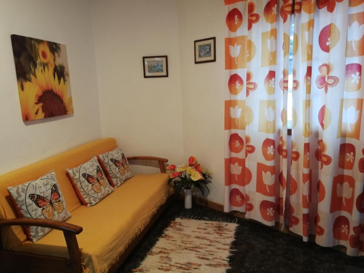 Vivienda Vacacional Wiljis Jerez de la Jerez de la Frontera Zewnętrze zdjęcie